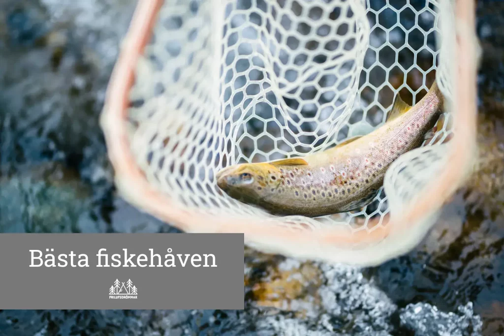 fiskehåv